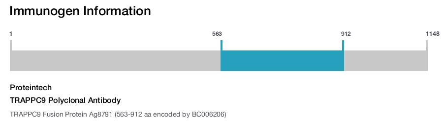 TRAPPC9 Polyclonal Antibody