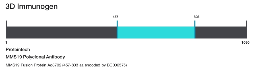 MMS19 Polyclonal Antibody