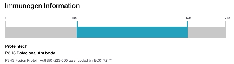 P3H3 Polyclonal Antibody