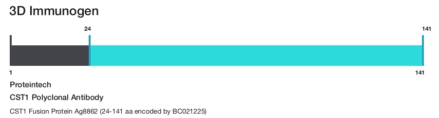 CST1 Polyclonal Antibody