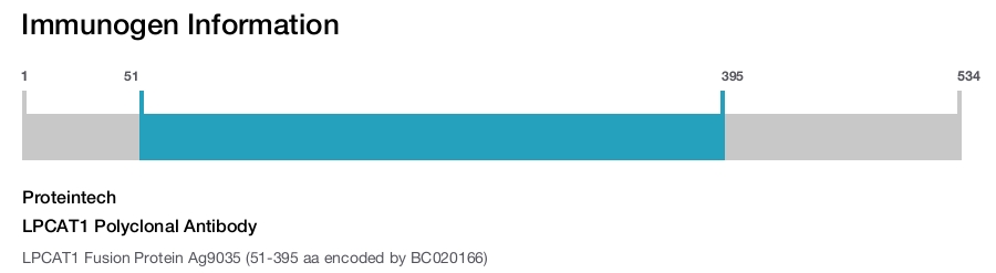 LPCAT1 Polyclonal Antibody
