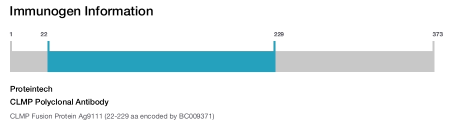 CLMP Polyclonal Antibody