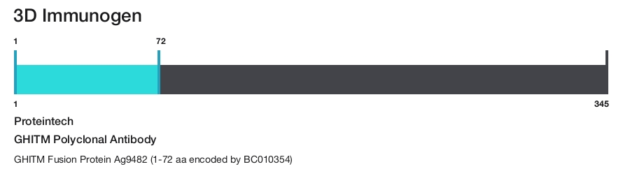 GHITM Polyclonal Antibody