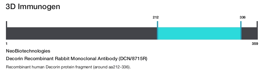 Decorin Recombinant Rabbit Monoclonal Antibody (DCN/8715R)
