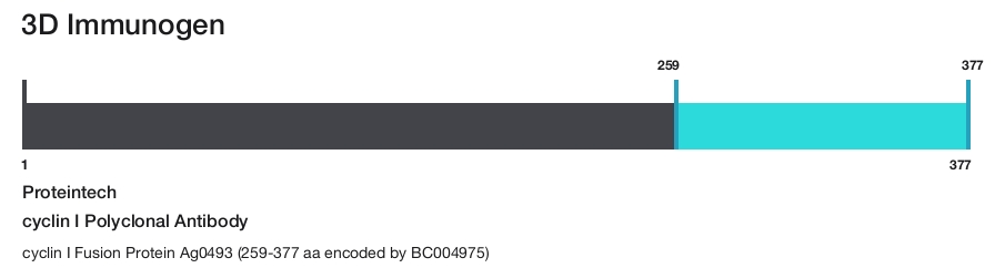 cyclin I Polyclonal Antibody