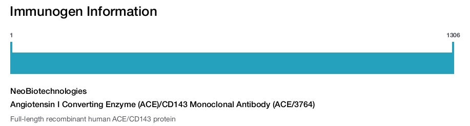 Angiotensin I Converting Enzyme (ACE)/CD143 Monoclonal Antibody (ACE/3764)