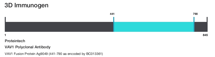 VAV1 Polyclonal Antibody