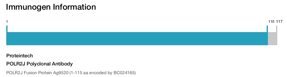 POLR2J Polyclonal Antibody
