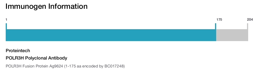 POLR3H Polyclonal Antibody