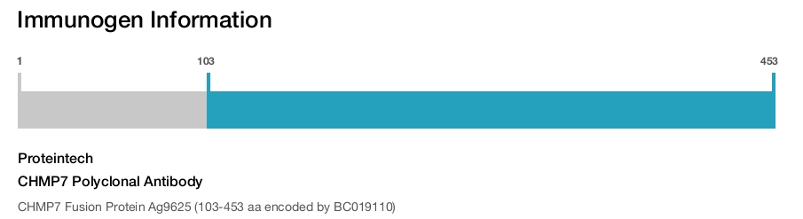 CHMP7 Polyclonal Antibody