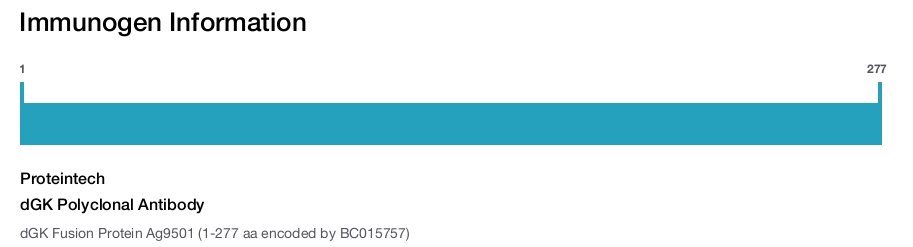 dGK Polyclonal Antibody