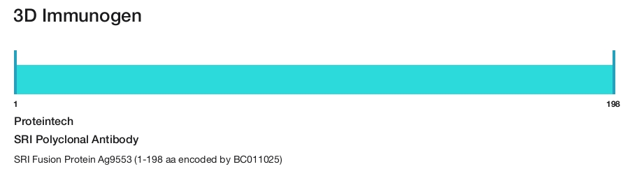 SRI Polyclonal Antibody