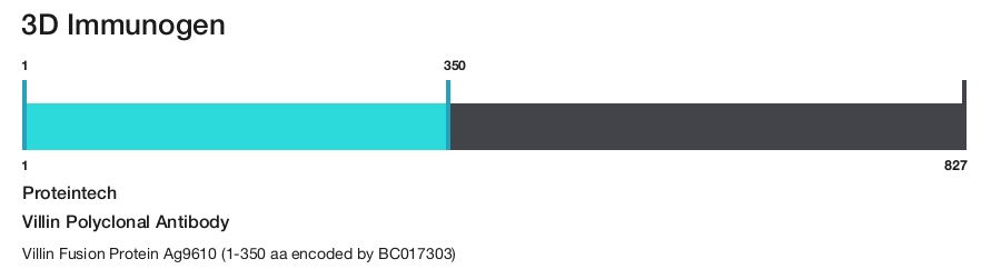 Villin Polyclonal Antibody