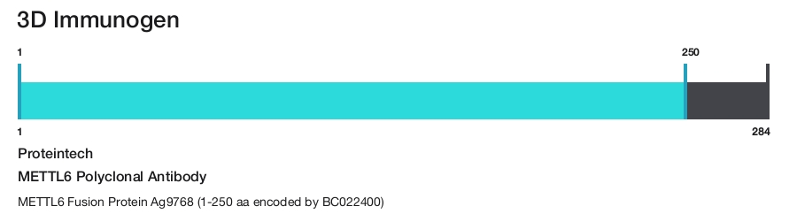 METTL6 Polyclonal Antibody