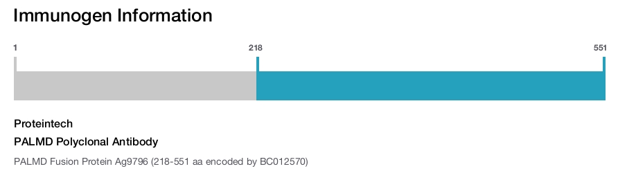 PALMD Polyclonal Antibody