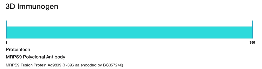 MRPS9 Polyclonal Antibody