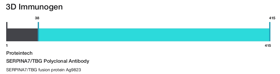 SERPINA7/TBG Polyclonal Antibody