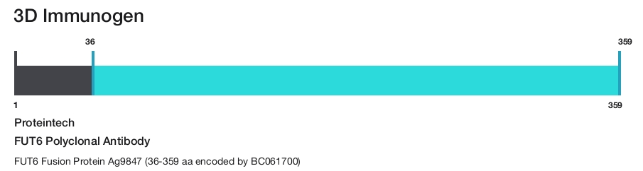 FUT6 Polyclonal Antibody