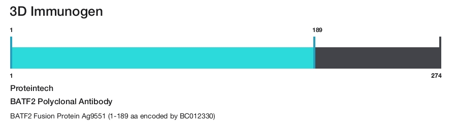 BATF2 Polyclonal Antibody