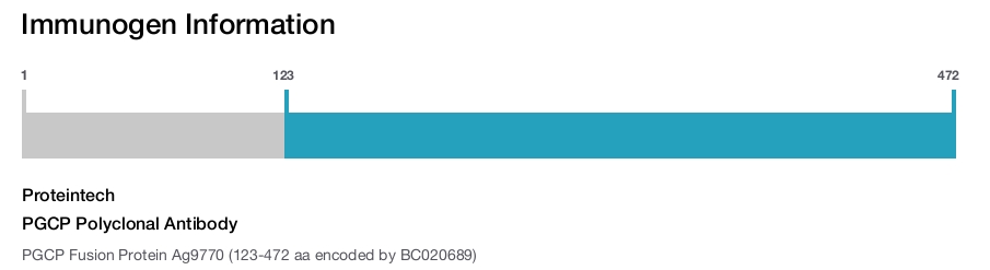 PGCP Polyclonal Antibody