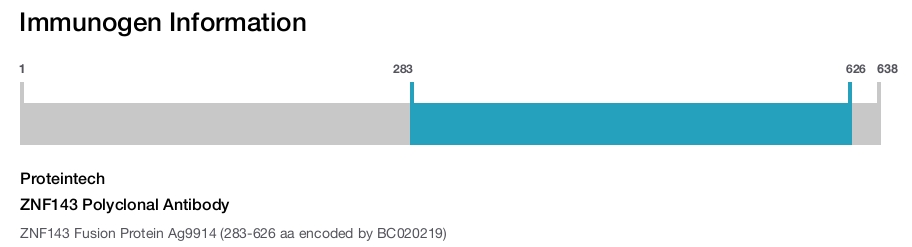 ZNF143 Polyclonal Antibody