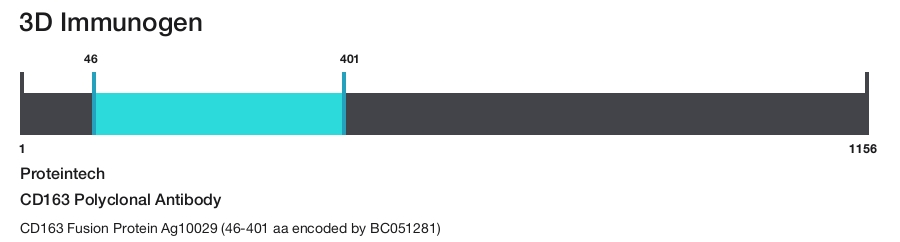 CD163 Polyclonal Antibody