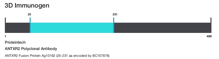 ANTXR2 Polyclonal Antibody