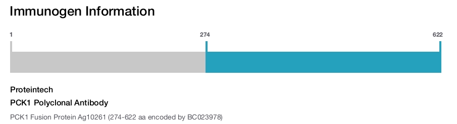 PCK1 Polyclonal Antibody