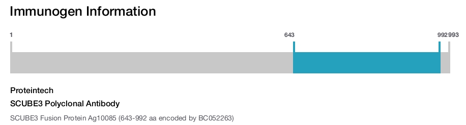 SCUBE3 Polyclonal Antibody