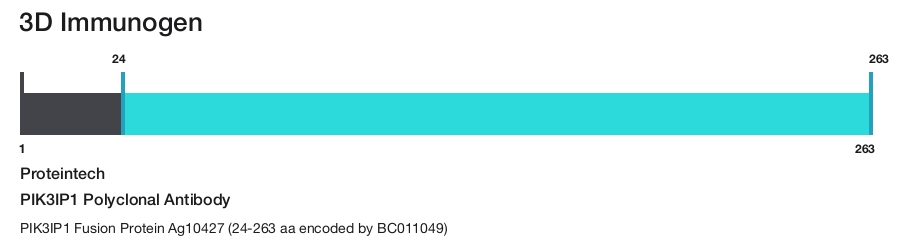 PIK3IP1 Polyclonal Antibody