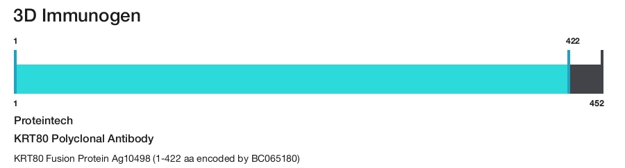 KRT80 Polyclonal Antibody