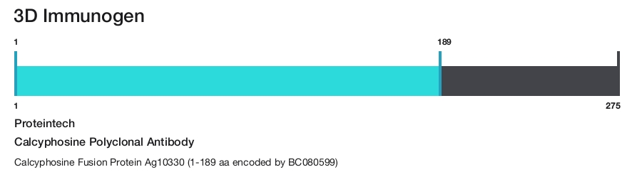 Calcyphosine Polyclonal Antibody