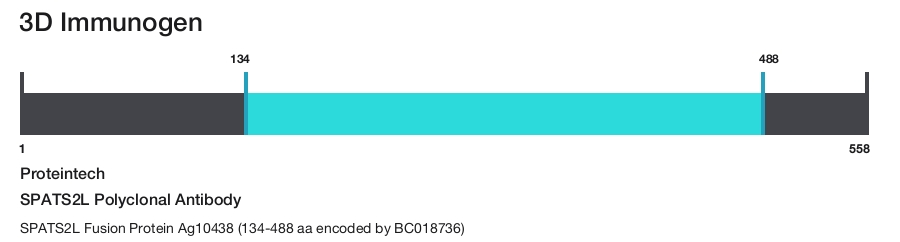 SPATS2L Polyclonal Antibody
