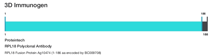 RPL18 Polyclonal Antibody