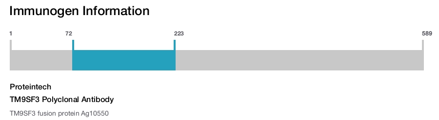 TM9SF3 Polyclonal Antibody