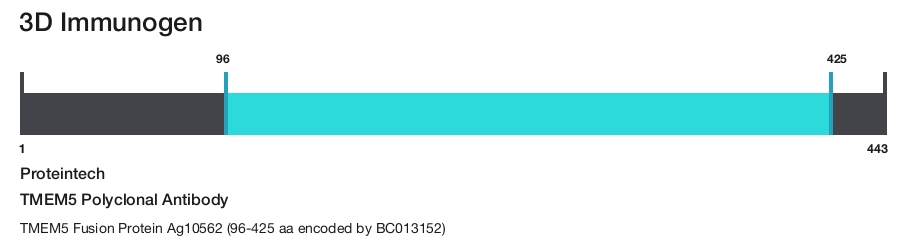 TMEM5 Polyclonal Antibody