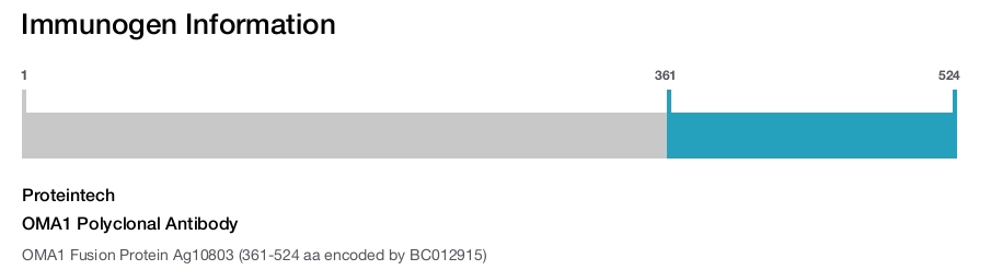 OMA1 Polyclonal Antibody