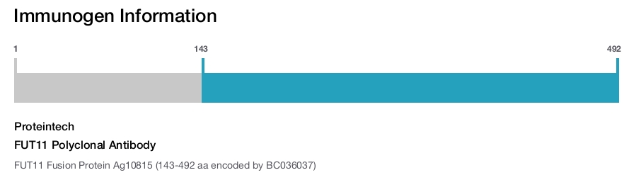 FUT11 Polyclonal Antibody