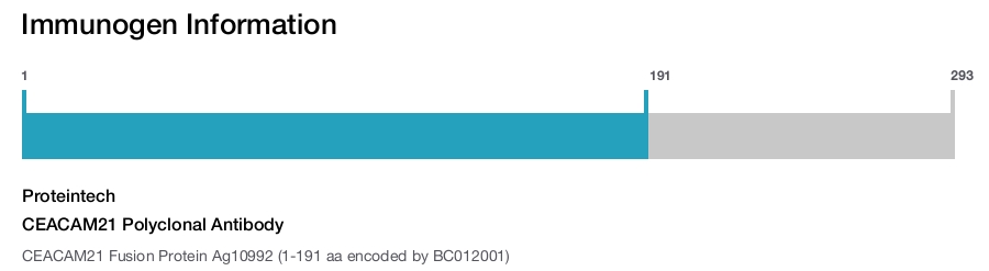 CEACAM21 Polyclonal Antibody