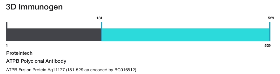 ATPB Polyclonal Antibody