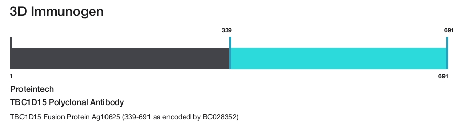 TBC1D15 Polyclonal Antibody