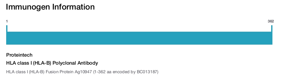 HLA class I (HLA-B) Polyclonal Antibody
