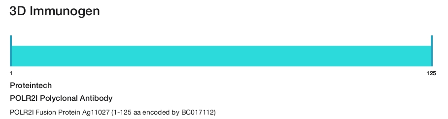 POLR2I Polyclonal Antibody
