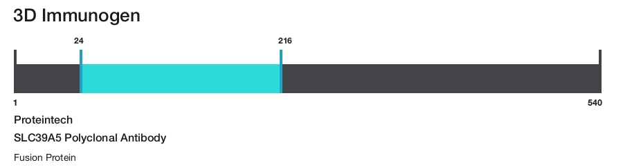 SLC39A5 Polyclonal Antibody