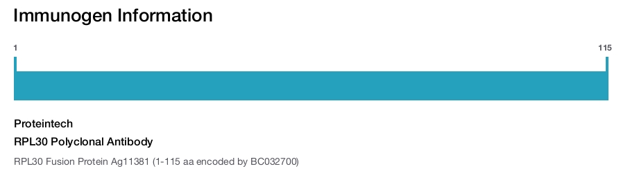 RPL30 Polyclonal Antibody