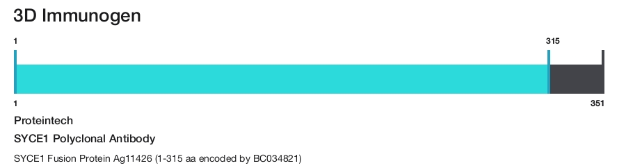 SYCE1 Polyclonal Antibody