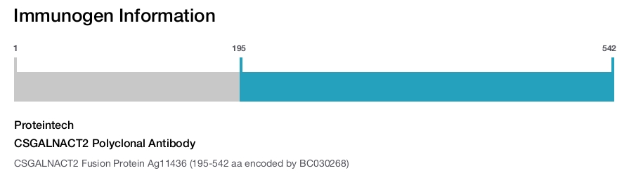 CSGALNACT2 Polyclonal Antibody