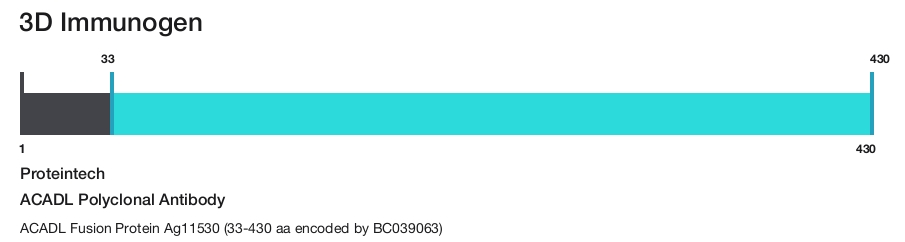 ACADL Polyclonal Antibody