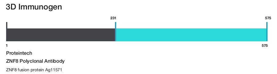 ZNF8 Polyclonal Antibody