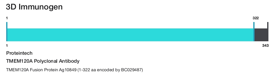 TMEM120A Polyclonal Antibody